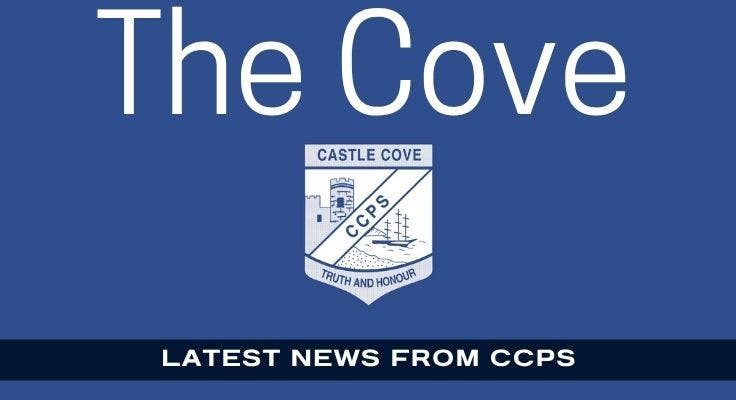 The Cove newsletter header.